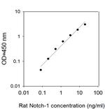 Rat Notch-1 ELISA Kit