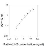 Rat Notch-2 ELISA Kit