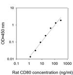 Rat CD-80 ELISA Kit