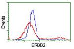 ERBB2 Antibody in Flow Cytometry (Flow)