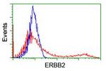 ERBB2 Antibody in Flow Cytometry (Flow)