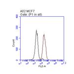 ERBB2 Antibody in Flow Cytometry (Flow)