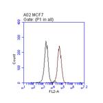 ERBB2 Antibody in Flow Cytometry (Flow)