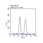 ERBB2 Antibody in Flow Cytometry (Flow)