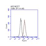 ERBB2 Antibody in Flow Cytometry (Flow)