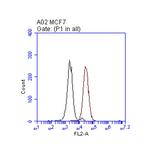 ERBB2 Antibody in Flow Cytometry (Flow)