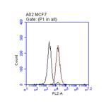 ERBB2 Antibody in Flow Cytometry (Flow)