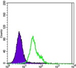 ErbB2 (HER-2) Antibody in Flow Cytometry (Flow)