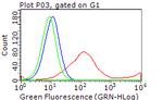 ERBB3 Antibody in Flow Cytometry (Flow)