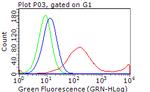 ERBB3 Antibody in Flow Cytometry (Flow)