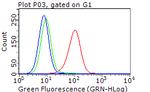 ERBB3 Antibody in Flow Cytometry (Flow)