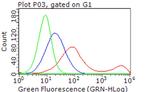 ERBB3 Antibody in Flow Cytometry (Flow)