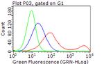 ERBB3 Antibody in Flow Cytometry (Flow)