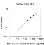 Human/Rat BDNF ELISA Kit