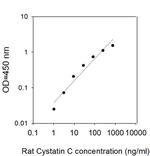 Rat Cystatin C ELISA Kit