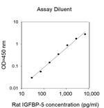 Mouse/Rat IGFBP5 ELISA Kit