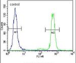 ERK1 Antibody in Flow Cytometry (Flow)