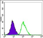 ERK3 Antibody in Flow Cytometry (Flow)