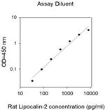 Rat Lipocalin-2 (LCN2/NGAL) ELISA Kit