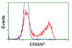 ERMAP Antibody in Flow Cytometry (Flow)