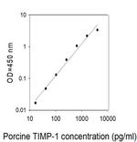 Human/Porcine TIMP-1 ELISA Kit