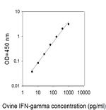 Ovine IFN-gamma ELISA Kit