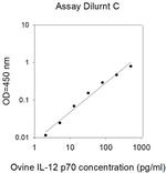 Ovine IL-12 p70 ELISA Kit