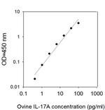 Ovine IL-17A ELISA Kit