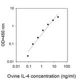 Ovine IL-4 ELISA Kit