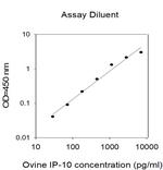 Ovine IP-10 ELISA Kit