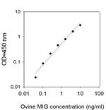 Ovine MIG ELISA Kit