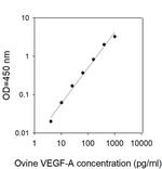 Ovine VEGF-A ELISA Kit