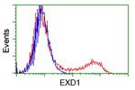 EXD1 Antibody in Flow Cytometry (Flow)