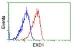 EXD1 Antibody in Flow Cytometry (Flow)