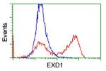 EXD1 Antibody in Flow Cytometry (Flow)