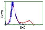 EXD1 Antibody in Flow Cytometry (Flow)