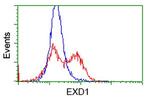 EXD1 Antibody in Flow Cytometry (Flow)