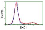 EXD1 Antibody in Flow Cytometry (Flow)