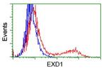EXD1 Antibody in Flow Cytometry (Flow)