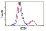 EXD1 Antibody in Flow Cytometry (Flow)