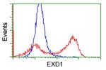 EXD1 Antibody in Flow Cytometry (Flow)