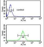 EXOC5 Antibody in Flow Cytometry (Flow)