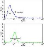 EphB3 Antibody in Flow Cytometry (Flow)