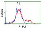 F13A1 Antibody in Flow Cytometry (Flow)