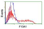 F13A1 Antibody in Flow Cytometry (Flow)