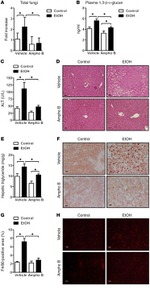 F4/80 Antibody in Immunohistochemistry (IHC)