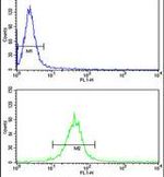 FAM91A1 Antibody in Flow Cytometry (Flow)
