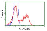FAHD2A Antibody in Flow Cytometry (Flow)
