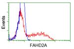 FAHD2A Antibody in Flow Cytometry (Flow)
