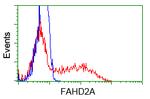 FAHD2A Antibody in Flow Cytometry (Flow)